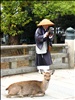 Monk and a deer